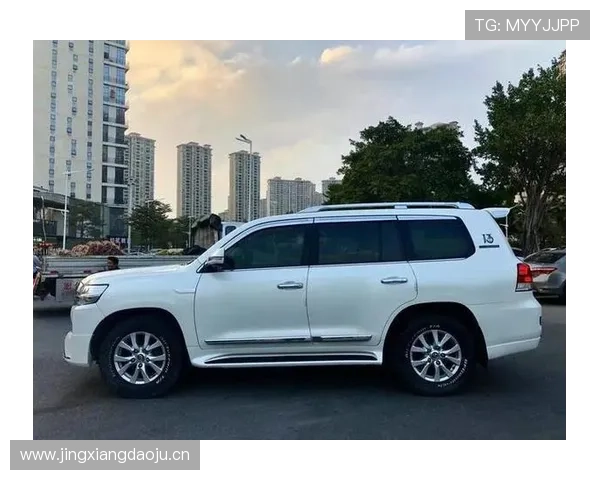 10 款可直接从经销商处购买的定制款巡洋舰