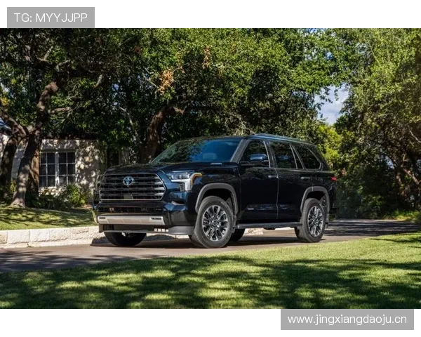 1.5T_2.0T动力可选！丰田发布2022款全新Proace露营车