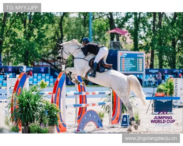 上海闵行儿童马术锦标赛世界杯体育论坛